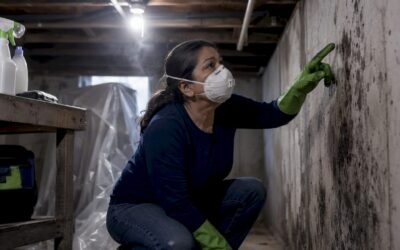How to Remediate Black Mold Safely in Your Home