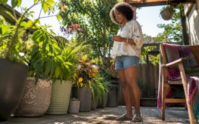 Dehumidification and Mold Prevention: A Homeowner’s Guide